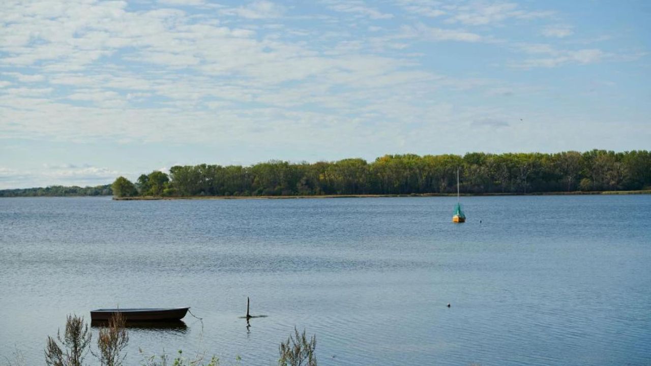 AreaSummer5KM AreaSummer5KM